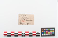 Etiketten zu Bronzegürtelhaken (NHMW-PRAE-024387)
